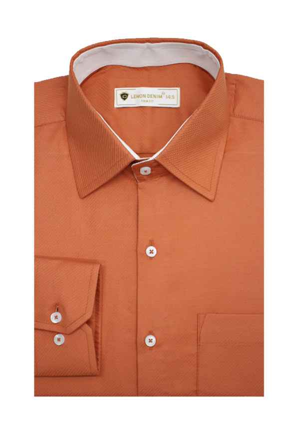 Executive Suitting Dress Shirt (lt-100-A-2832)