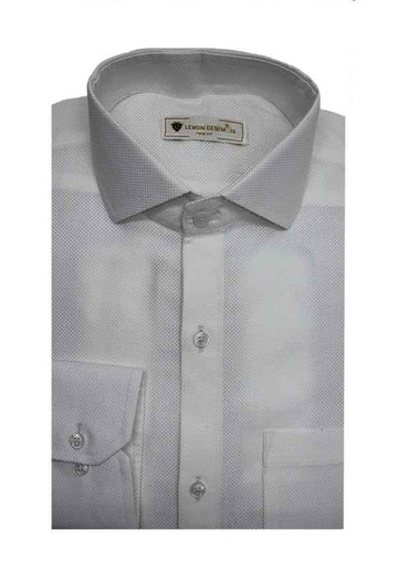 Executive Suitting Dress Shirt (Lt-72-A-2772)