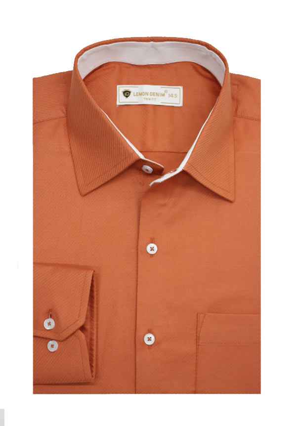 Executive Suitting Dress Shirt (lt-100-A-2832)