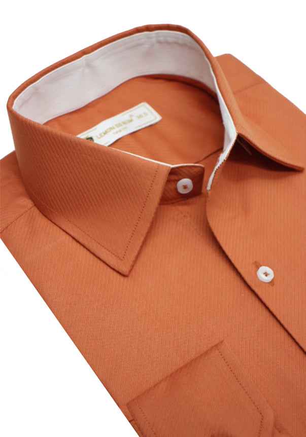 Executive Suitting Dress Shirt (lt-100-A-2832)