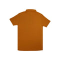 Mens Plan Polo A-3407 - Stylish Imported Casual Wear
