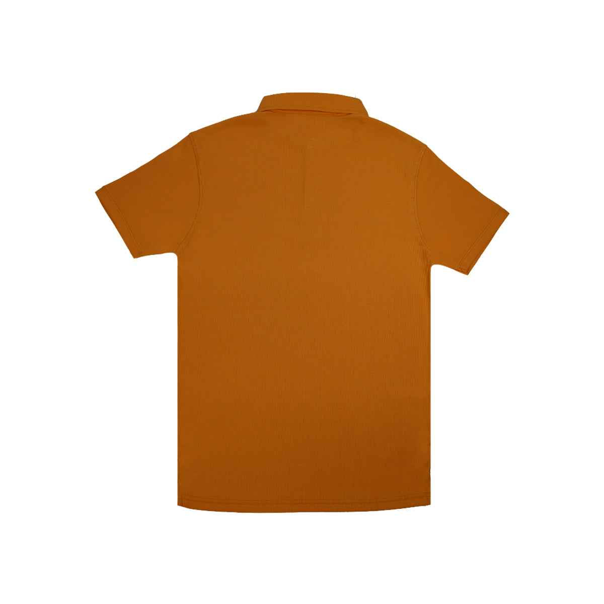 Mens Plan Polo A-3407 - Stylish Imported Casual Wear