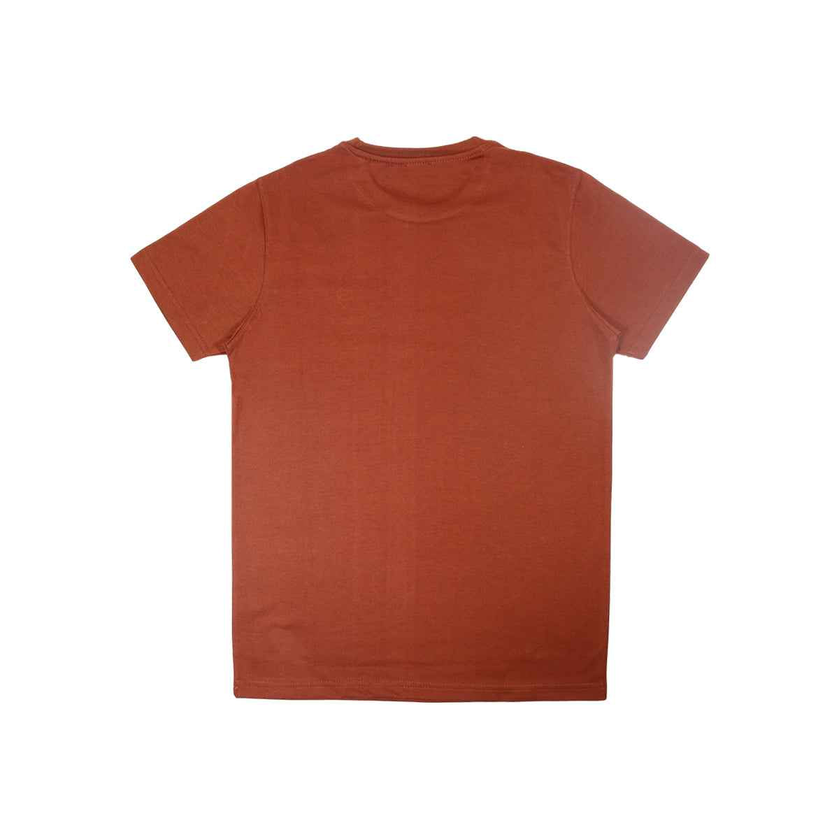 Mens Jarsey Round Neck T-Shirt (A-3410)