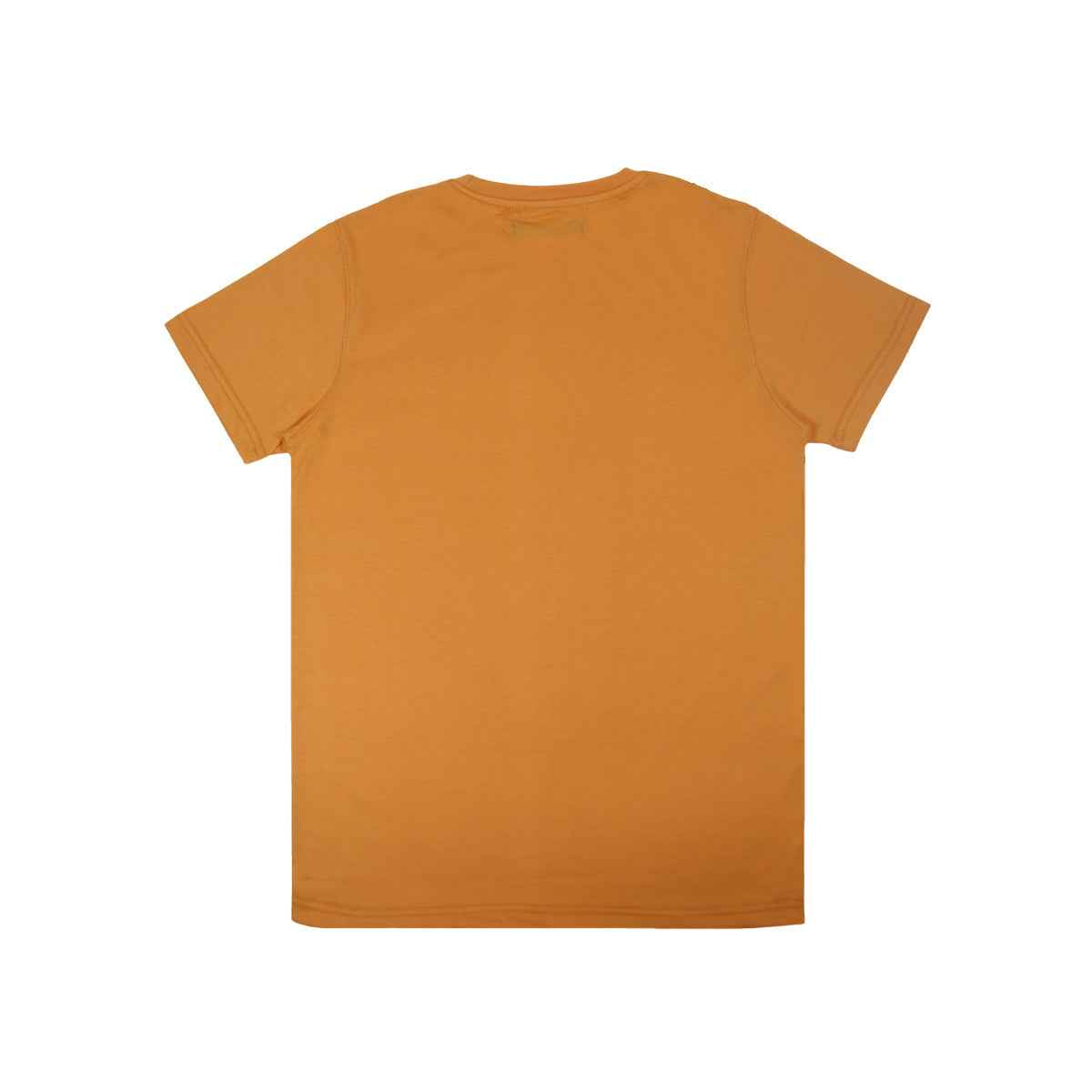 Mens Jarsey Round Neck T-Shirt (A-3410)