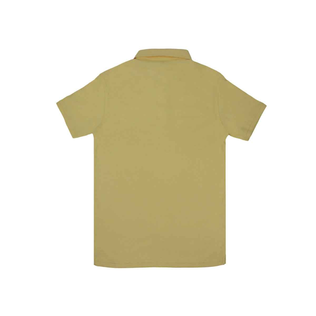 Mens Imported Plan Polo (A-3404)
