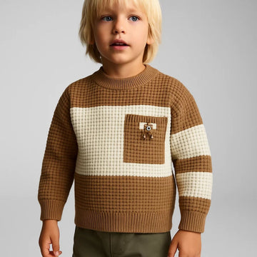 Boys Round Neck Sweater (A-3691)