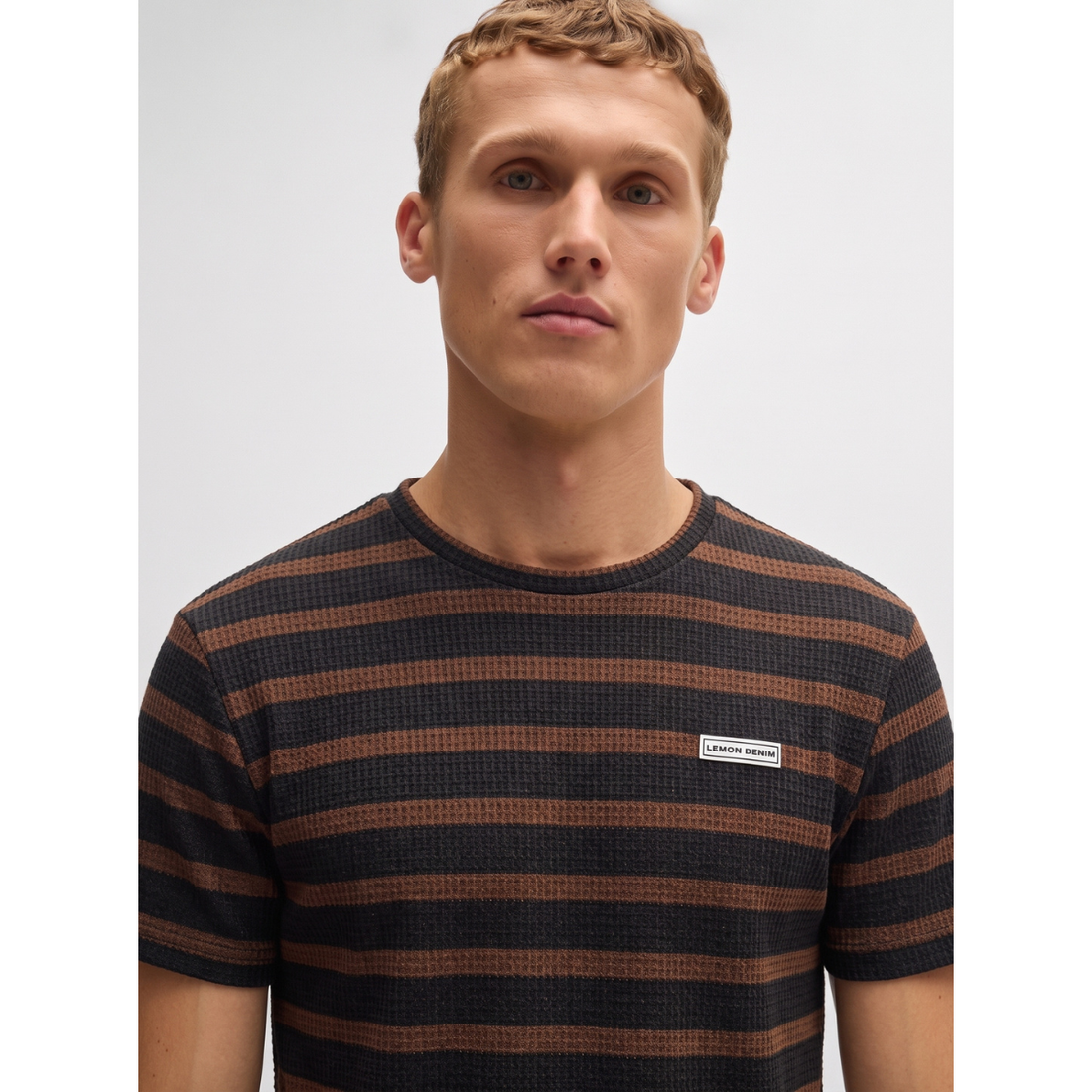 Brown & Black Stripes Round Neck Knitted T-shirt (A-5049)