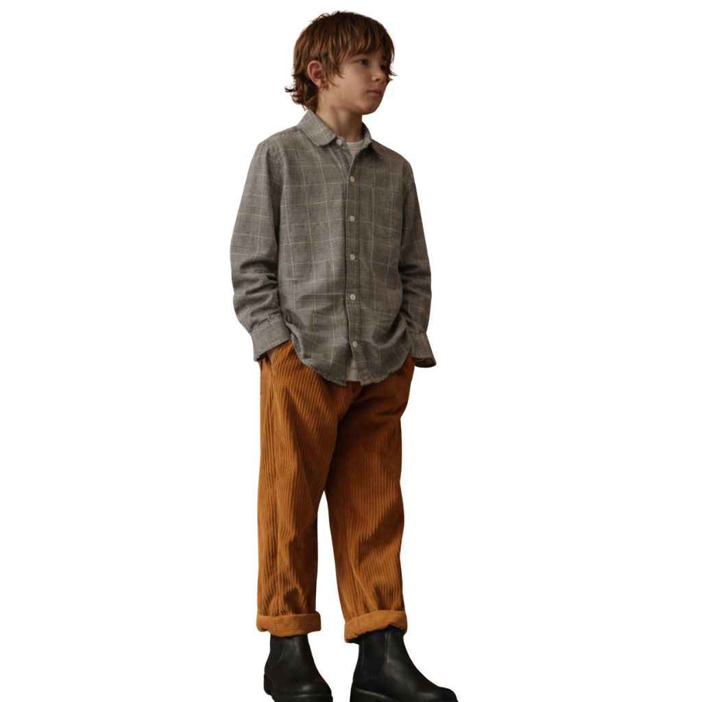 Micro Check Boys Casual Shirt (A-1282)