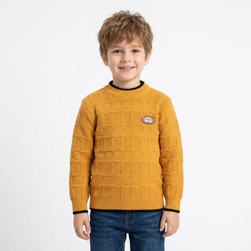 Kids Imported Self Sweater (A-5429)