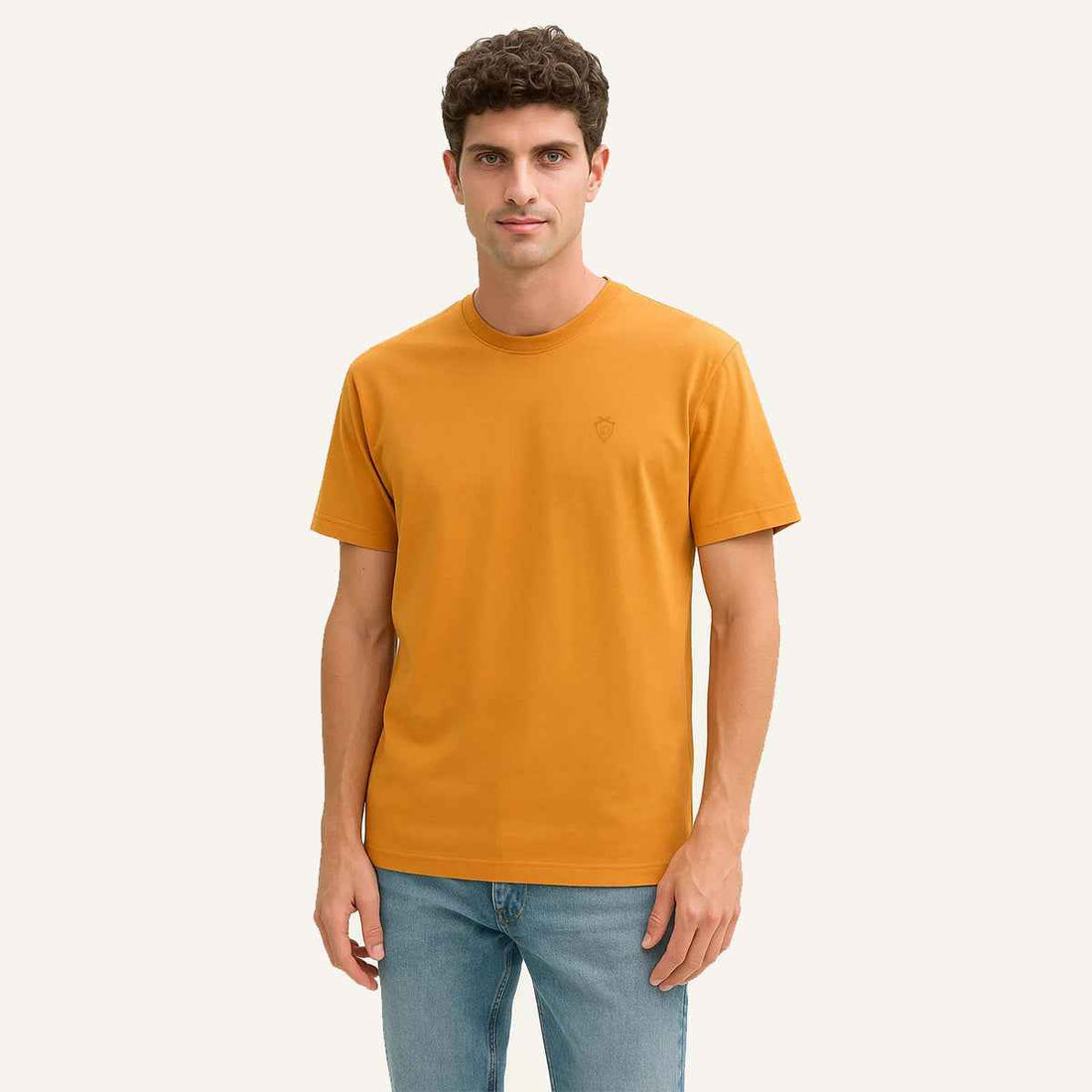 Mens Jarsey Round Neck T-Shirt (A-3410)