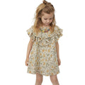Floral Girl Printed Frock (A-3184)
