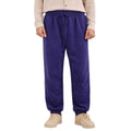 Royal Blue Mens & Womens Casual Trouser (A-2001)