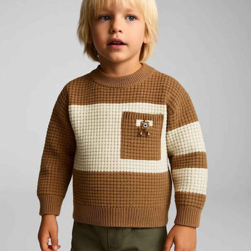 Boys Round Neck Sweater (A-3691)
