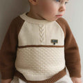 Round Neck Brown Boys & Girls Round Neck Sweater (A-3693)