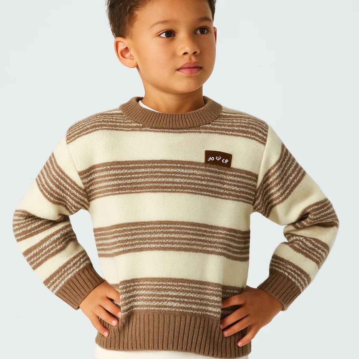 Boys Round Neck Knitted Sweater