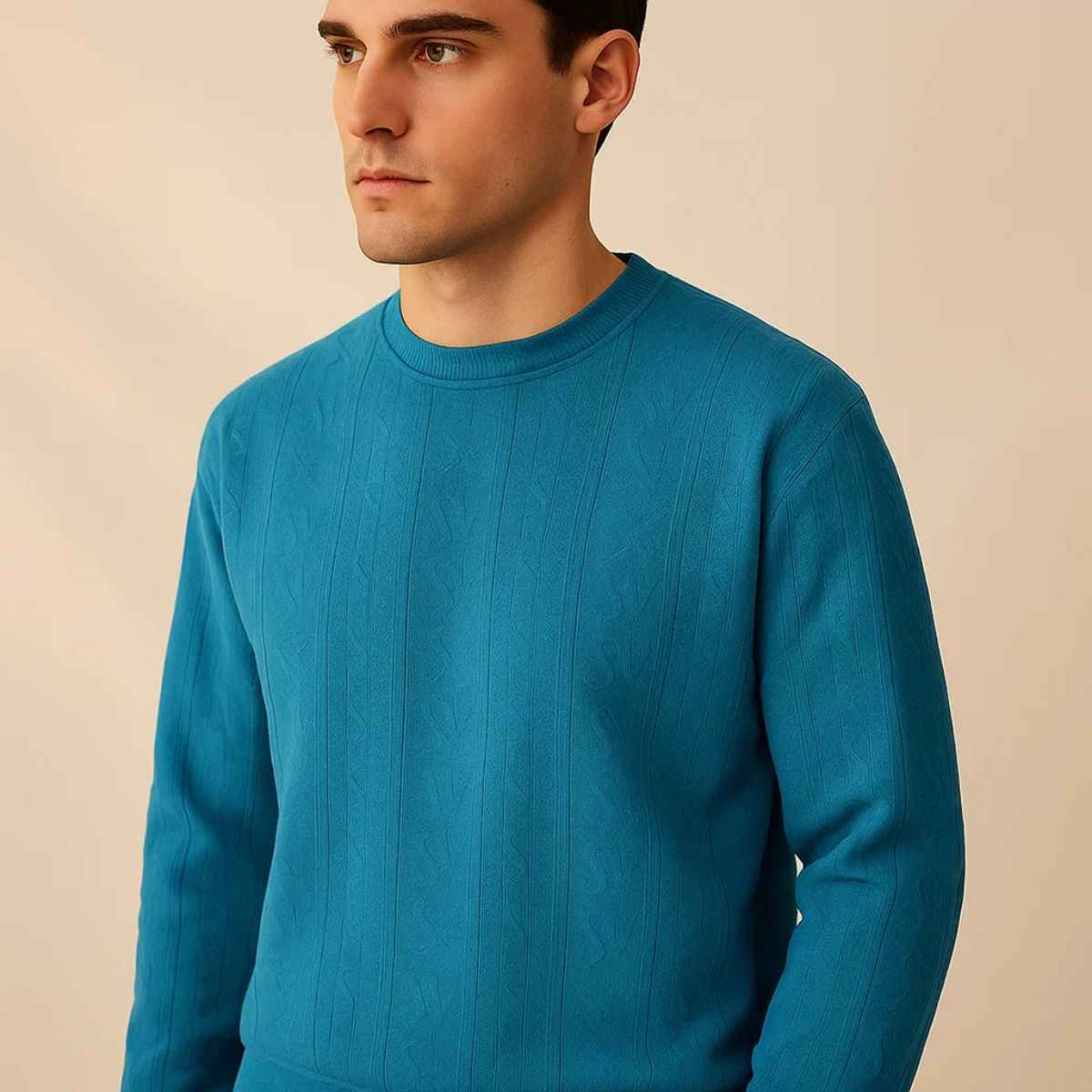 Jacquard Solid Color Sweat Shirt (A-2624)