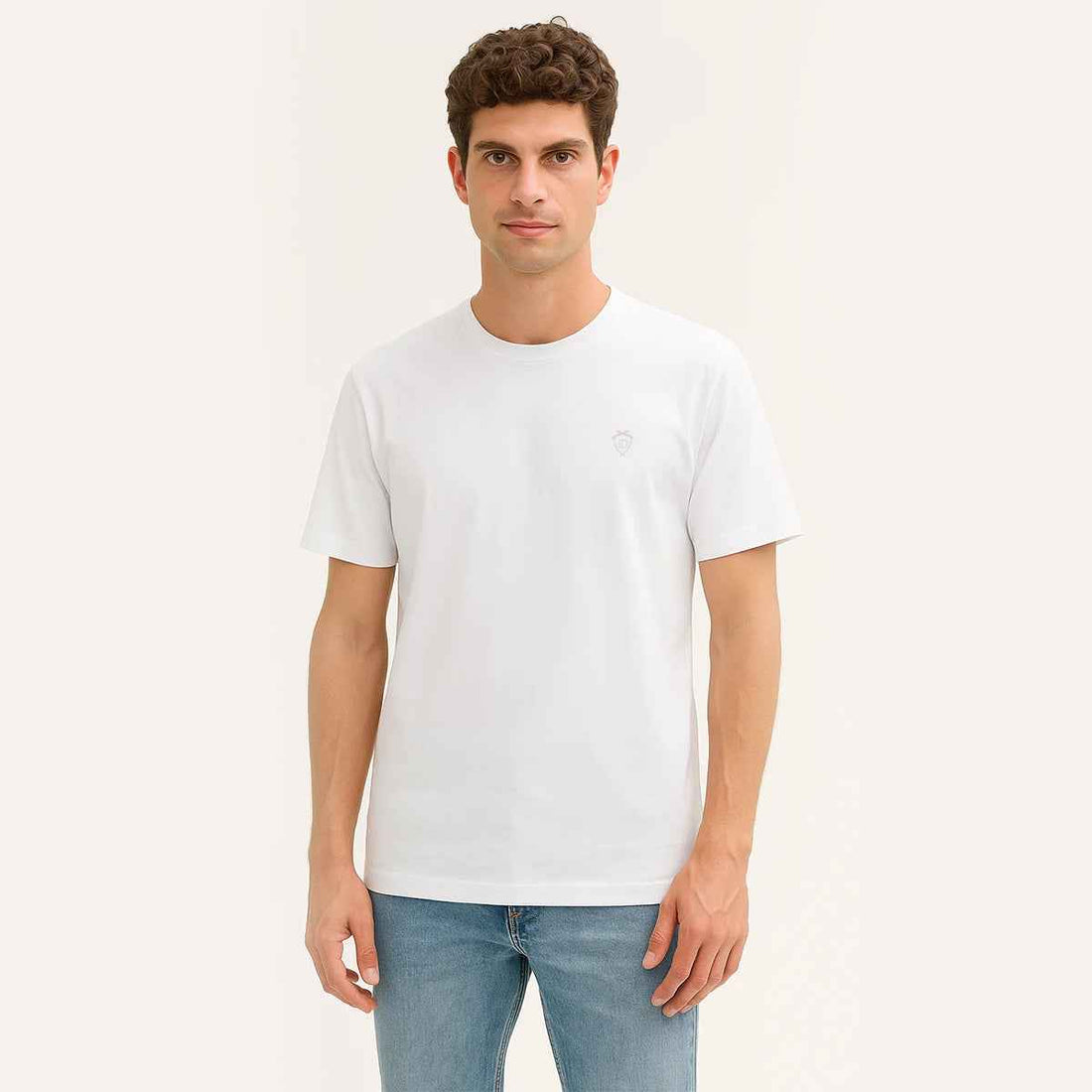 Mens Jarsey Round Neck T-Shirt (A-3410)