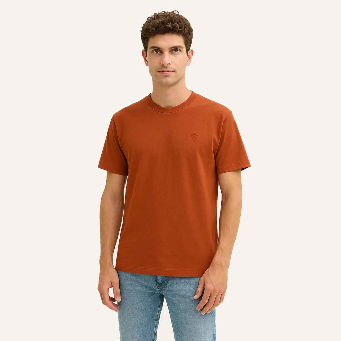 Mens Jarsey Round Neck T-Shirt (A-3410)
