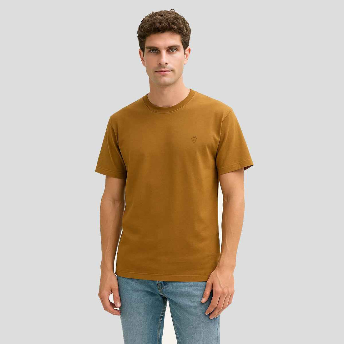 Mens Jarsey Round Neck T-Shirt (A-3410)